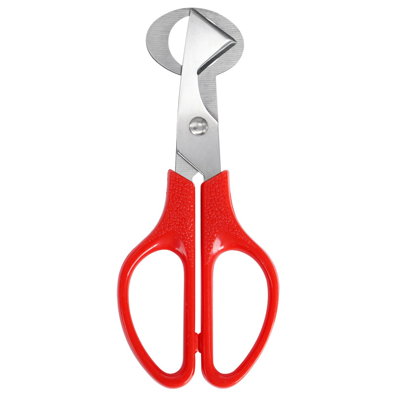 Stainless Steel Quail Egg Shell Scissors, Multifunction Kitchen Tool Cutter