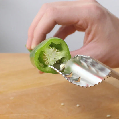 Bitter Gourd Seed Remover, Stainless Steel Core Digging Knife, Chili Corer for Cooking