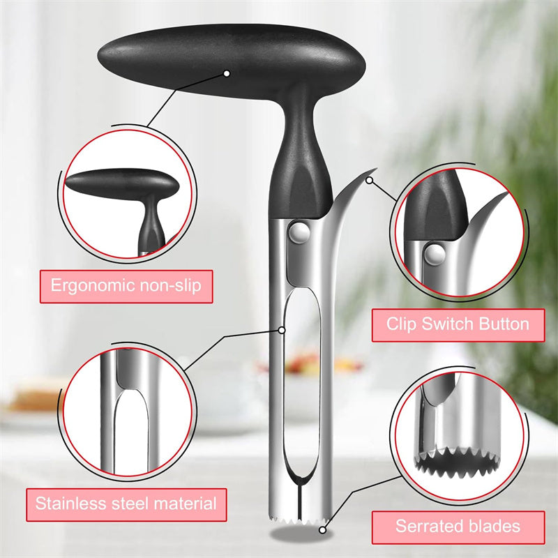 Stainless Steel Apple Corer, Multi Function Fruit Corer and Pitter Remover, Kitchen Vegetable Core Remover Tool