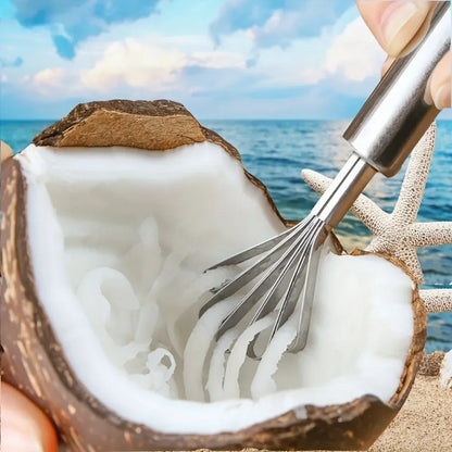 Fruit Spoon Planer, Melon and Coconut Seed Remover, Stainless Steel Scraper