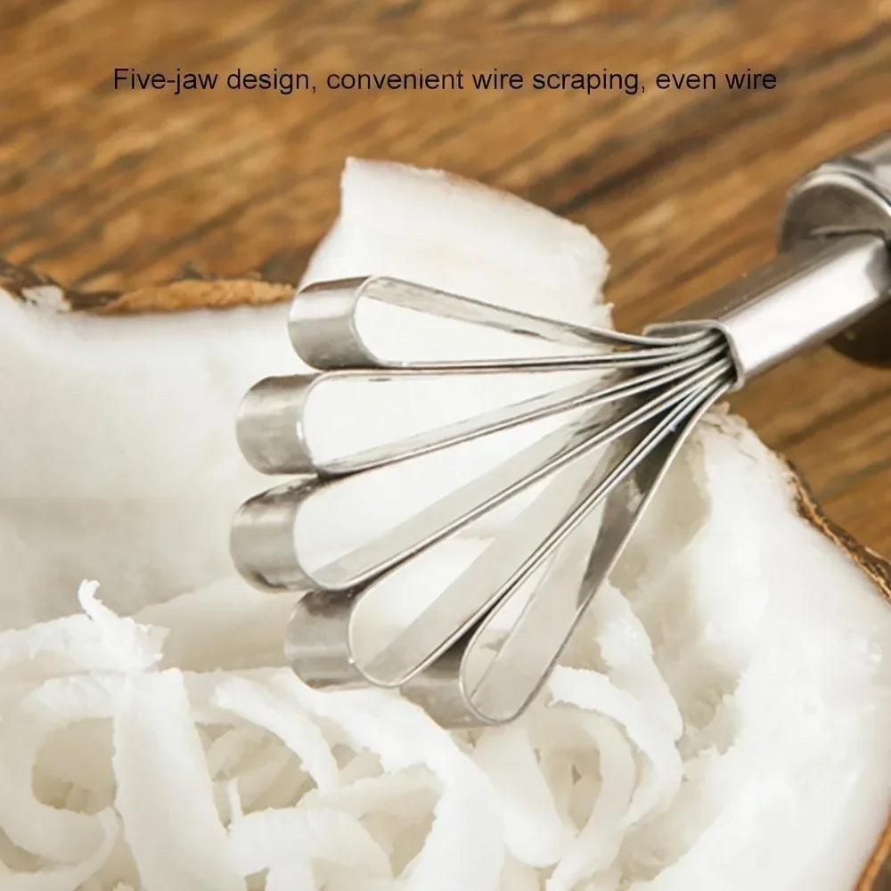 Fruit Spoon Planer, Melon and Coconut Seed Remover, Stainless Steel Scraper