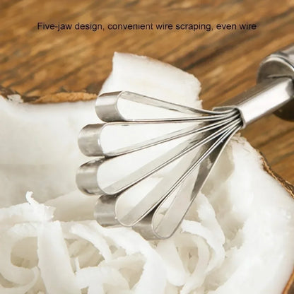 Fruit Spoon Planer, Melon and Coconut Seed Remover, Stainless Steel Scraper