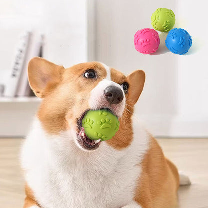 Outdoor Throwing Dog Squeak Toy Ball, Durable Chewing Training Ball, Pet Supplies Recovery Toy for Active Dogs