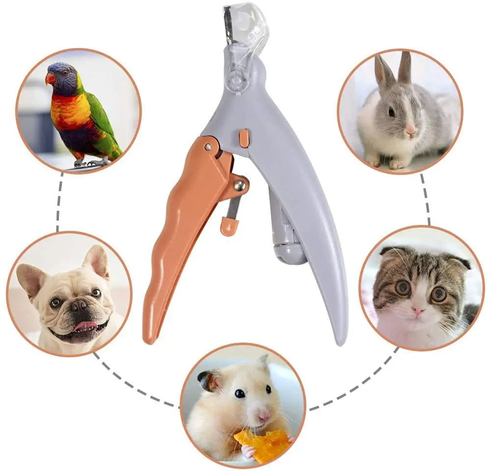 Cat Dog Nail Clippers Tool Scissors, Professional Pet Nail Clipper Scissors With LED Light, Nail Toeclaw Cutter Scissors