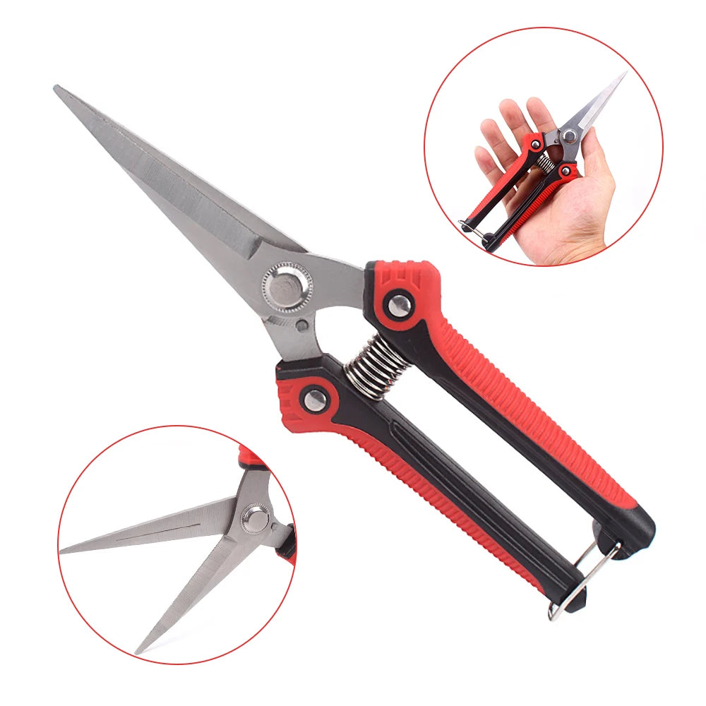 Sharp Garden Fruit Tree Pruning Pruning Shear Branch Scissors Stainless Steel NonSlip Handle Garden 4