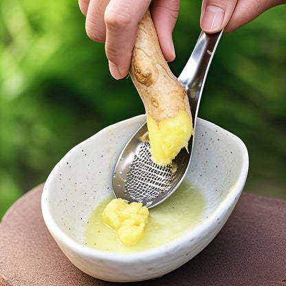 Stainless Steel Garlic Ginger Grater Spoon for Fruits Roots Vegetables