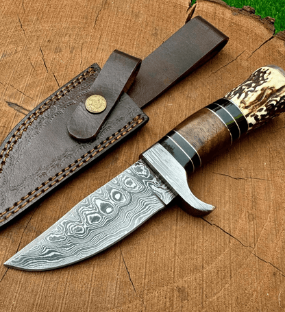 Handmade Damascus Steel Hunting Knife | Stag Antler & Rosewood Handle | 9" Outdoor Knife w/ Leather Sheath | Gift for Hi