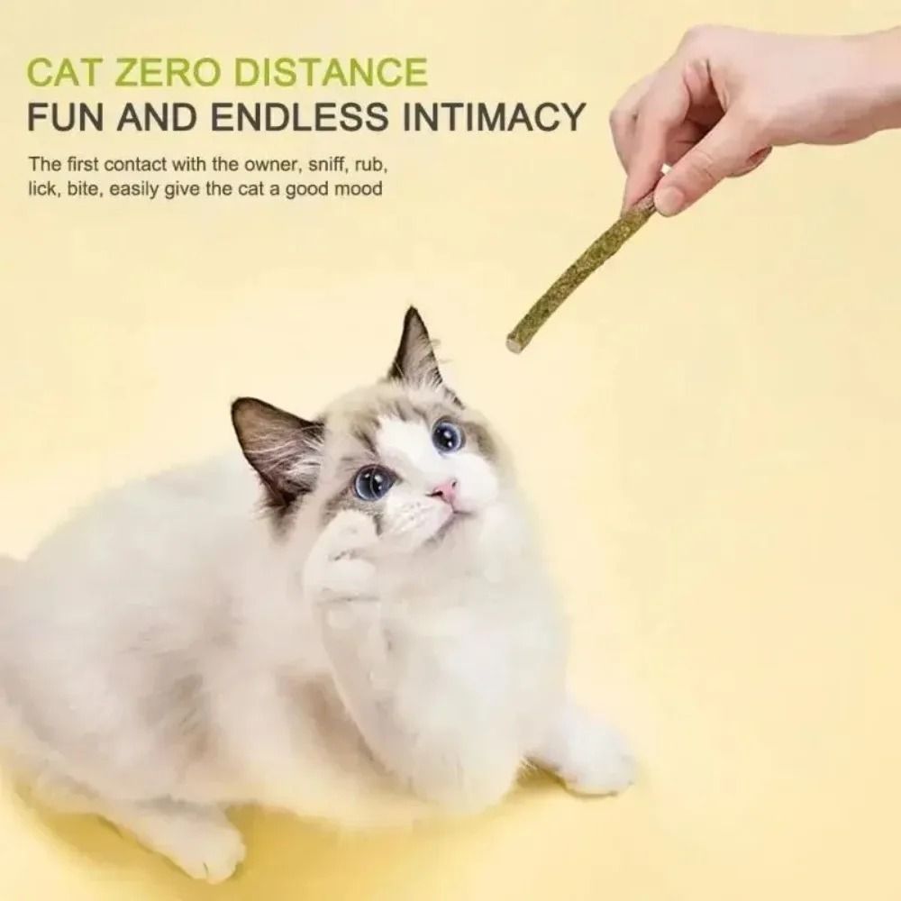 Natural Silvervine Cat Sticks For Teeth Cleaning Chewing And Play Stimulation 2