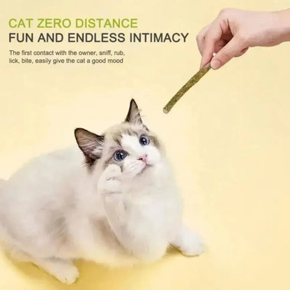 Natural Silvervine Cat Sticks For Teeth Cleaning Chewing And Play Stimulation 2