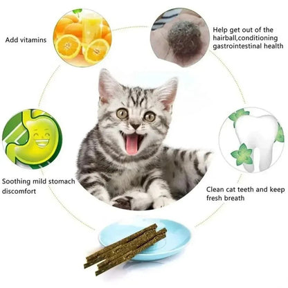 Natural Silvervine Cat Sticks For Teeth Cleaning Chewing And Play Stimulation 5