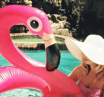 Flamingo Float Deluxe Pool Ring 1