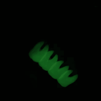 CreepyChic Tooth Fairy Hair Clip 1