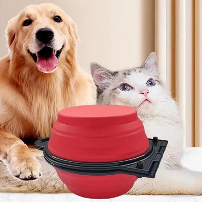Foldable Dual Bowl Portable Pet Feeding And Water Bowl For Travel 1