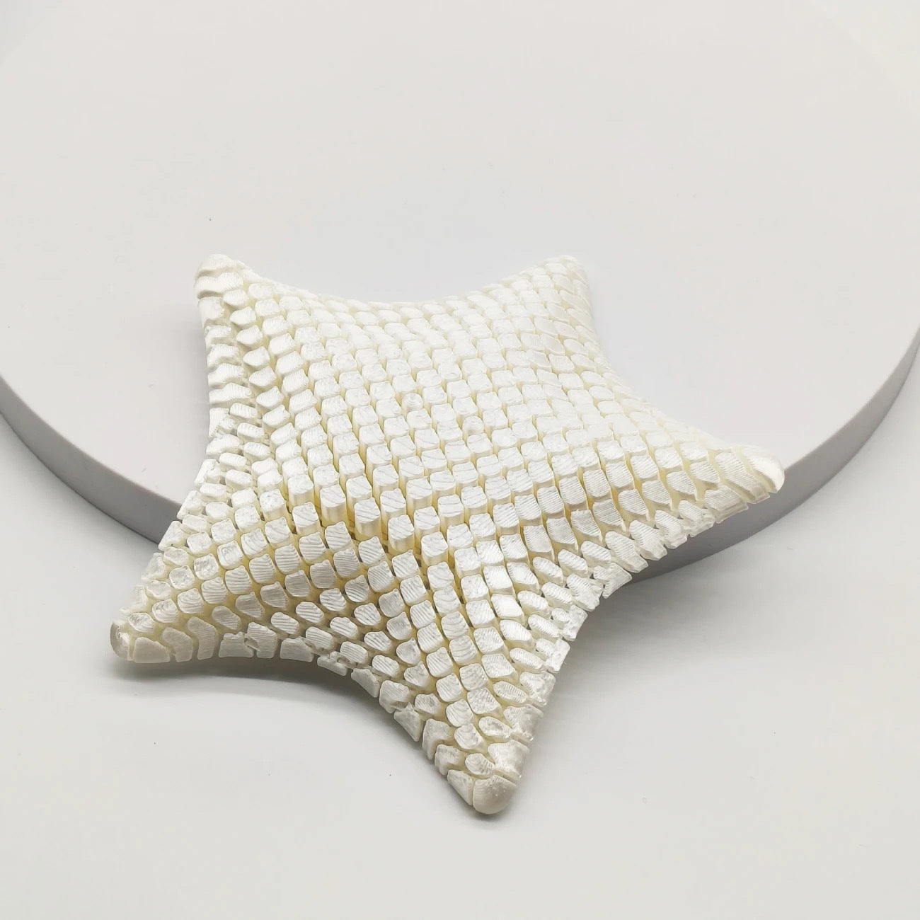 Ocean Themed Printed Starfish Ornament Stress Relief Desk Toy 12cm Marine Animal Decor Gift 6