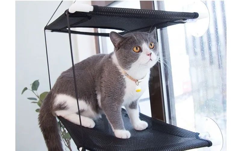 Cat Hammock Window Bed Hanging Sunny Seat With Strong Suction Cups Double Decker Design 10