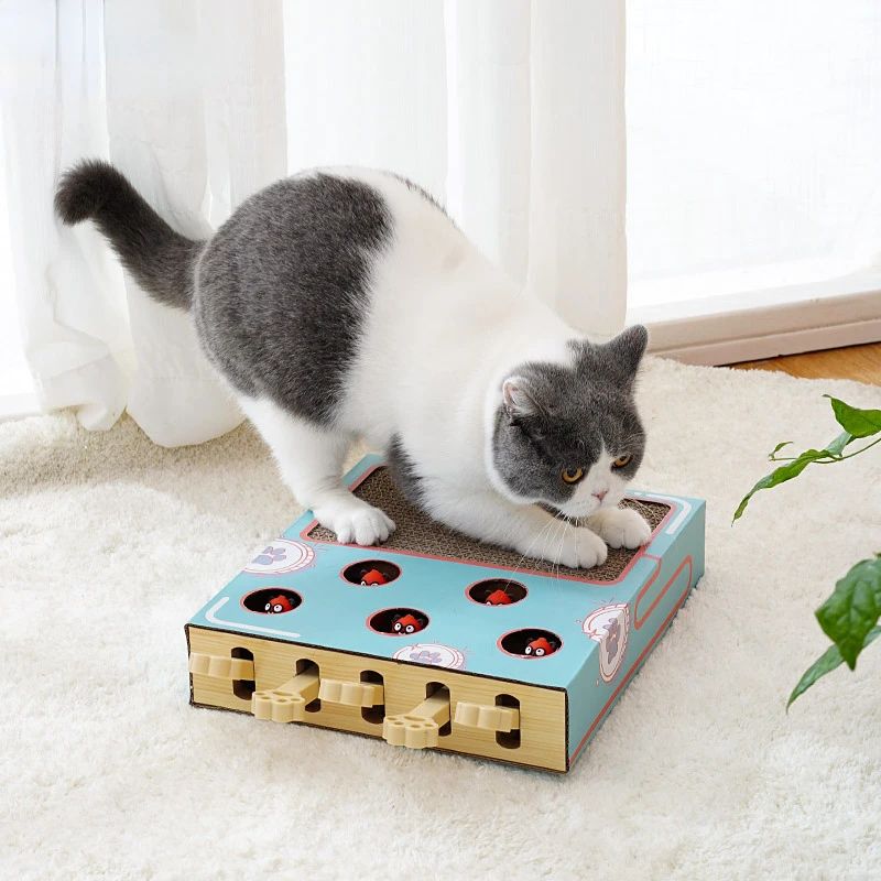 Whack a Mole Cat Toy Interactive Scratching Board and Claw Grinding Play Box