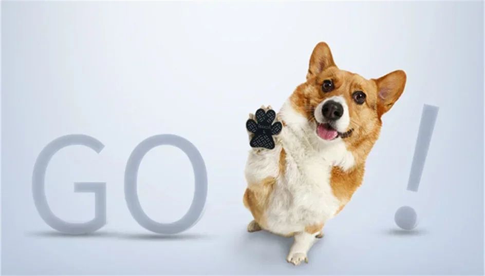 Dog Anti Slip Paw Pads Waterproof Self Adhesive Paw Protectors For Dogs 11