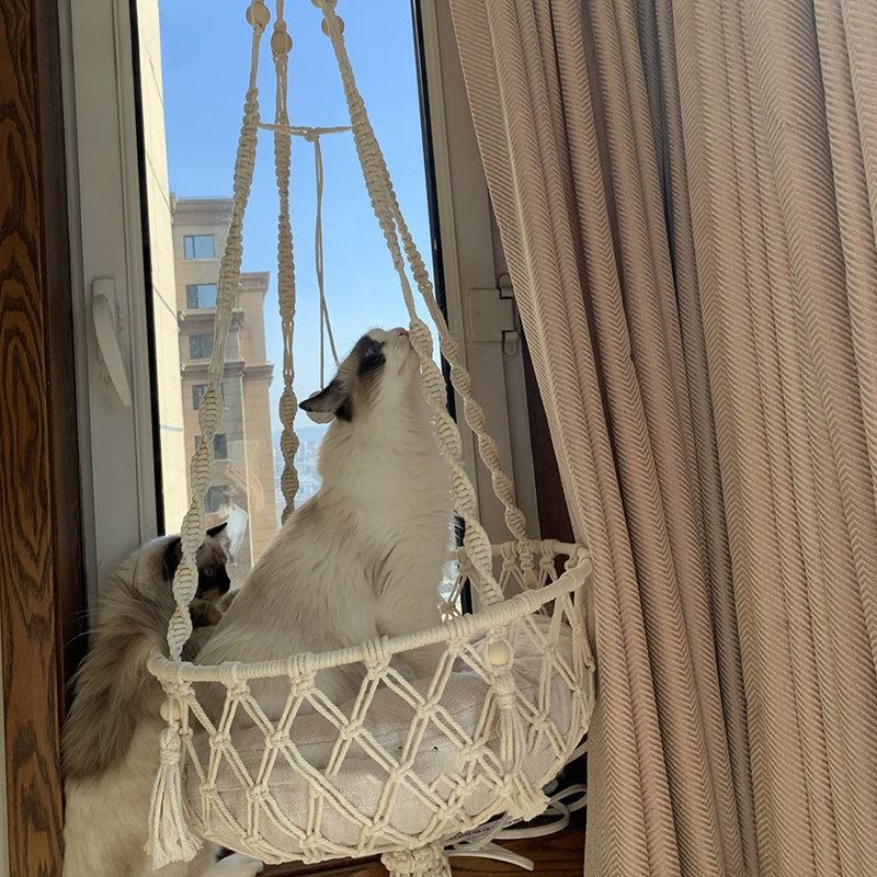 Hand Woven Cotton Rope Cat Hammock Hanging Pet Swing Basket For Indoor Use 8