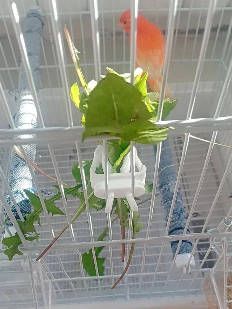 Bird Food Holder Clip Parrot Fruit And Vegetable Feeder For Small Pet Cages 8