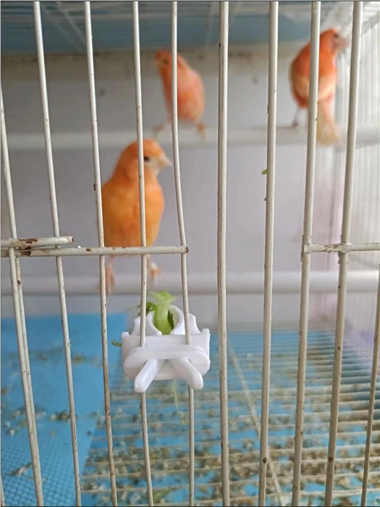 Bird Food Holder Clip Parrot Fruit And Vegetable Feeder For Small Pet Cages 9