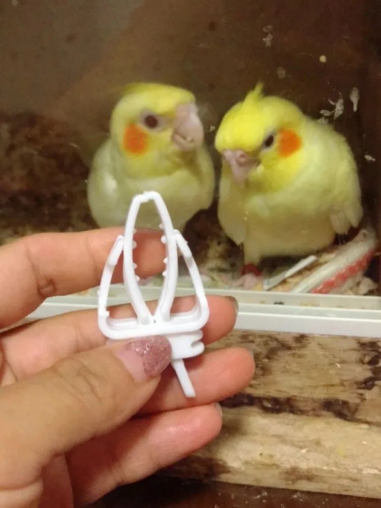 Bird Food Holder Clip Parrot Fruit And Vegetable Feeder For Small Pet Cages 12
