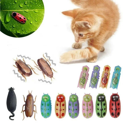 Electric Bug Cat Toy Automatic Mini Robot Insect with Catnip for Cats