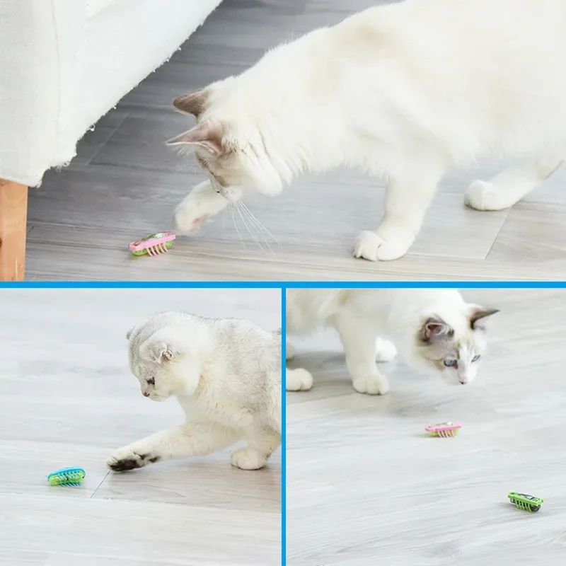 Electric Bug Cat Toy Automatic Mini Robot Insect With Catnip For Cats 5