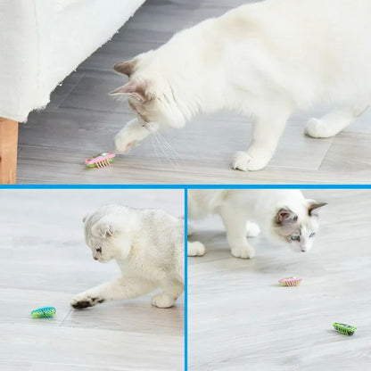 Electric Bug Cat Toy Automatic Mini Robot Insect With Catnip For Cats 5