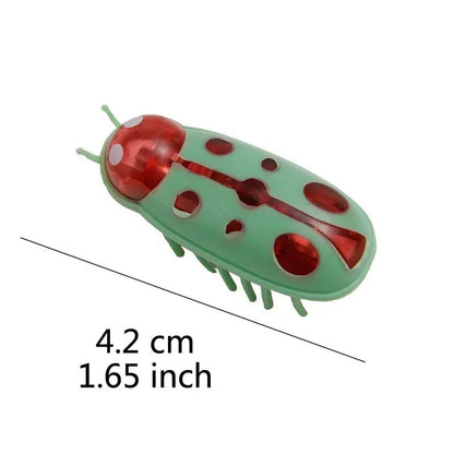 Electric Bug Cat Toy Automatic Mini Robot Insect With Catnip For Cats 13