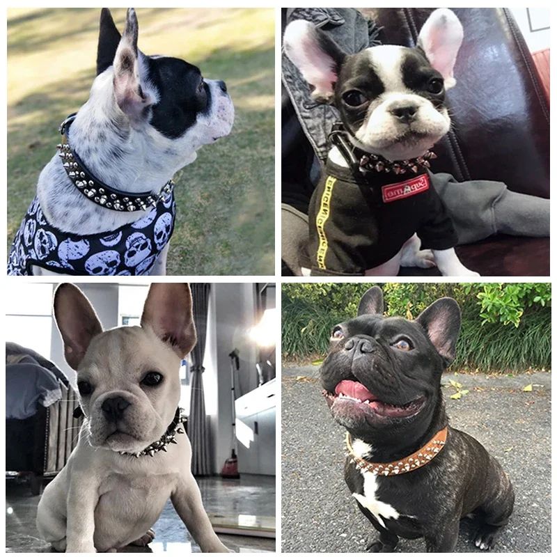 Adjustable PU Leather Spiked Dog Collar Punk Rivet Neck Strap For Small Dogs And Cats 5