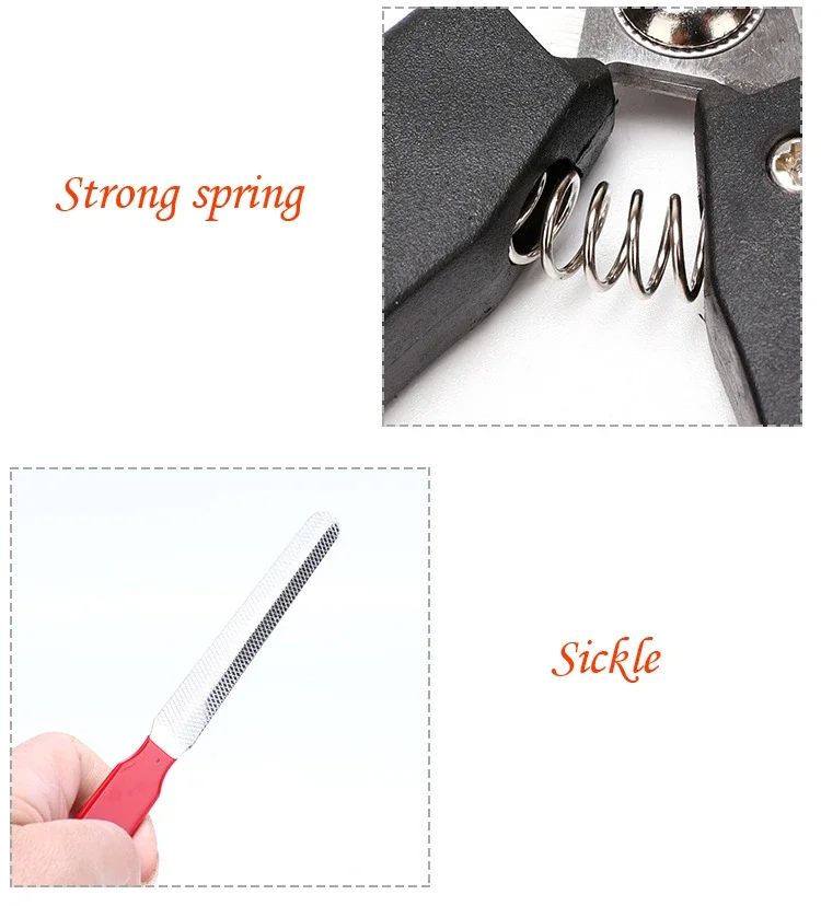 Pet Nail Clippers Stainless Steel Grooming Scissors For Dogs And Cats 6