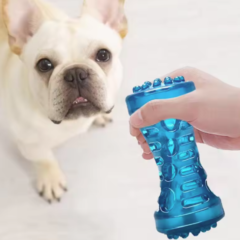 Sturdy Bite Resistant Dog Toy Toothbrush Bone Interactive Chew Dental Care For Small Medium Large D 5