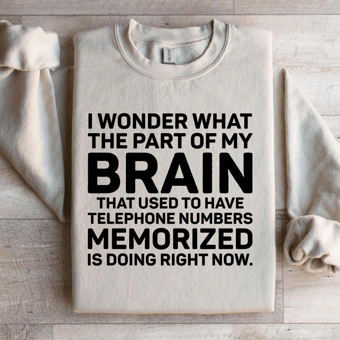 I Wonder What The Part Of My Brain Sweatshirt 3