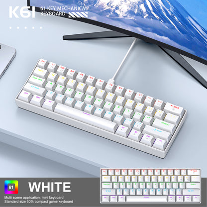 Mini Mechanical Keyboard, RGB Phantom Lighting, Wired Type-C, Blue/Red Switch, Portable Mechanical Keyboard