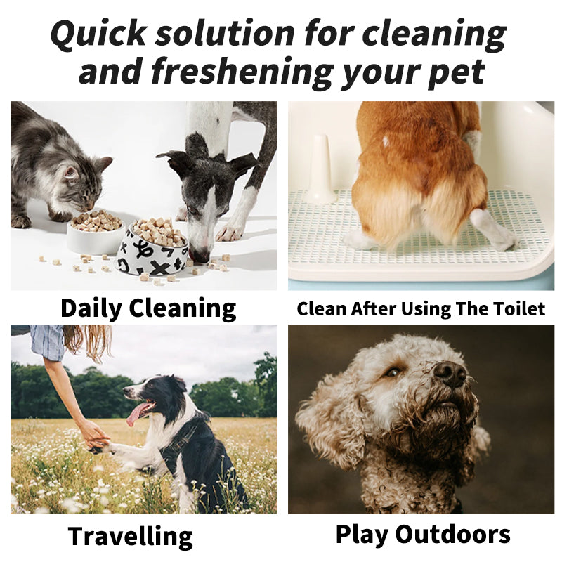 Multi Purpose Pet Wipes, Plant Based Care for Dogs Cats, Sensitive Skin Deodorizer, Odor Remover for Paws Ears Body
