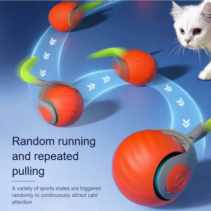 Cats Interactive Ball Toys Automatic Rolling Ball With Faux Tail Smart Electric Pet Toy For Teaser  1