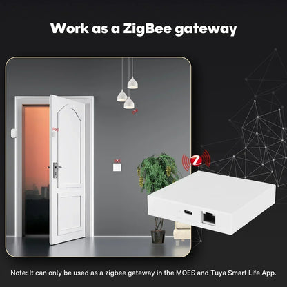 Zigbee Matter Hub Smart Home Bridge Siri Voice Control Google Alexa HomeKit Smart Things 2