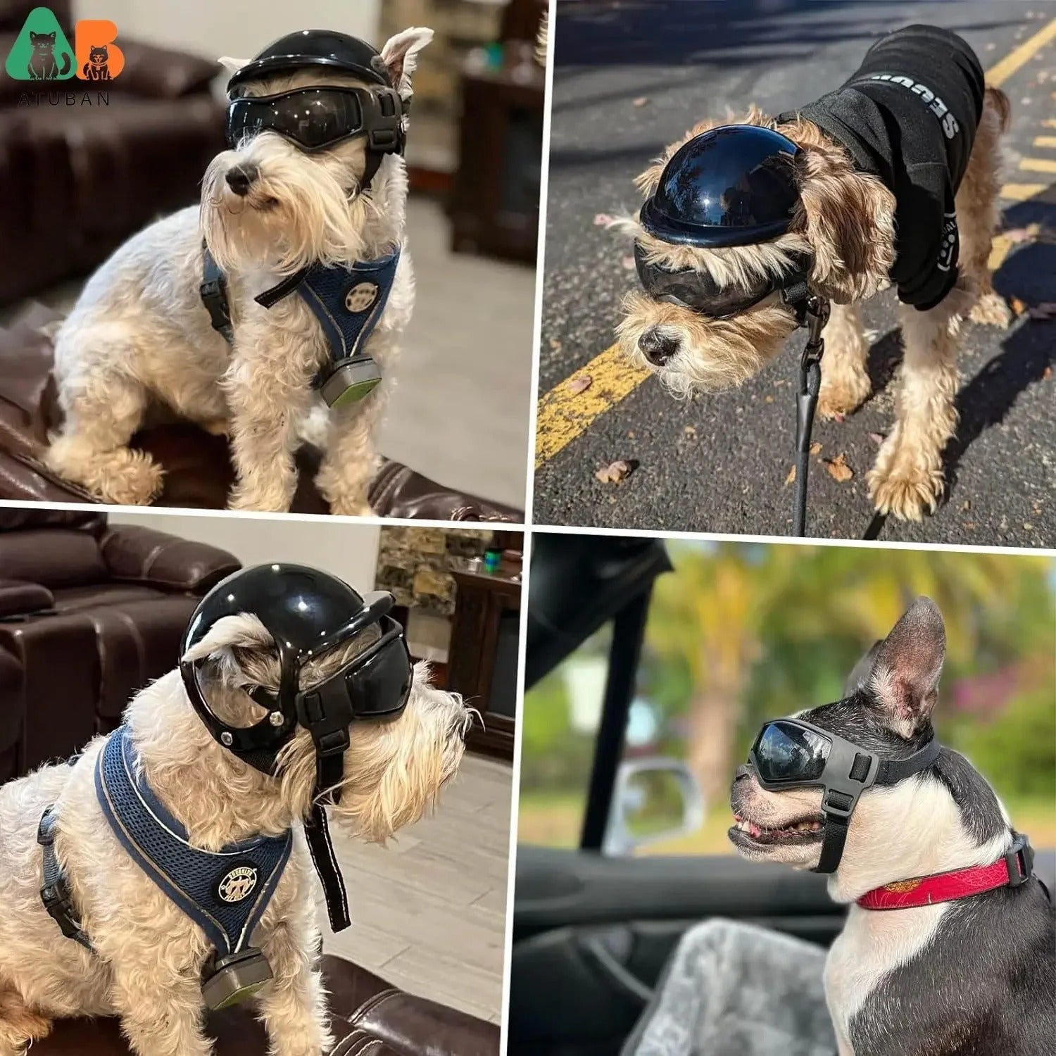 Pet Motorcycle Helmet Hat For Small Dogs Dog Helmet And Goggles Set With Adjustable Straps For Pupp 2