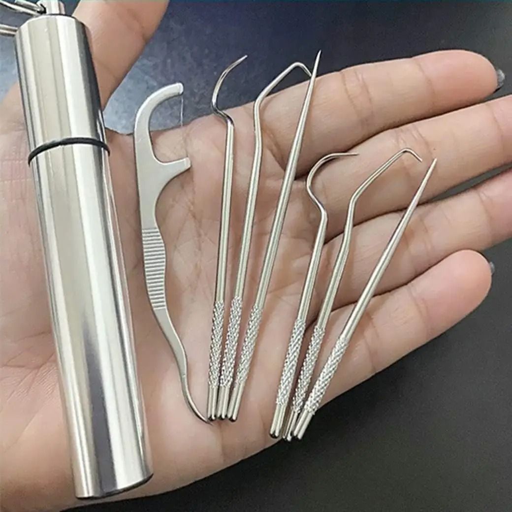 Stainless Steel Reusable Toothpick and Flossing Set